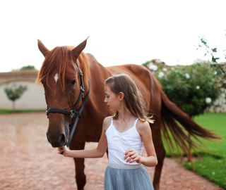 About Neo Equilibrium