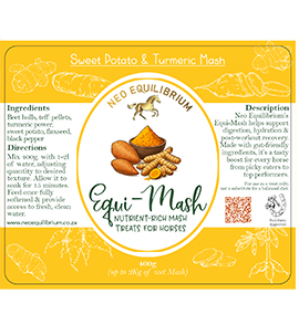 Sweet Potato Turmeric Mash